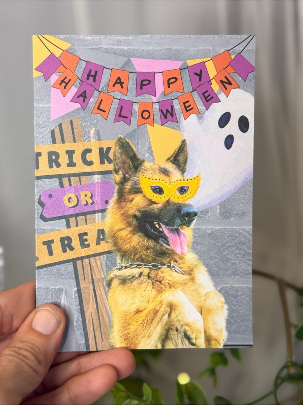 German Shepherd Halloween Greeting Cards Trick or Treat Blank Inside Set of 10